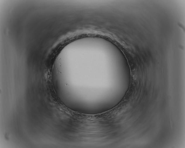 X0000097511495200803071813