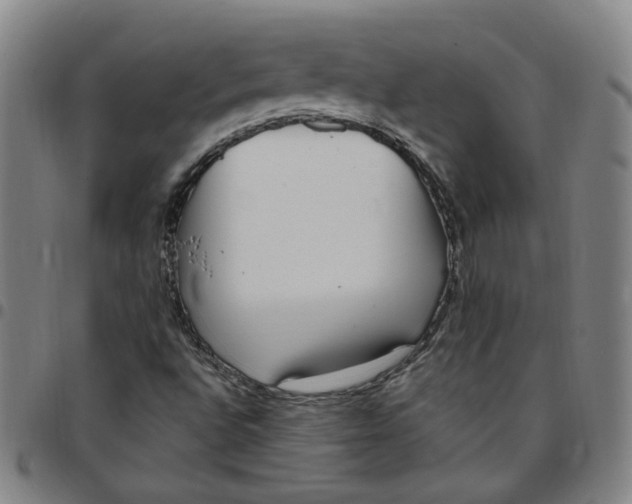 X0000097511496200803071813