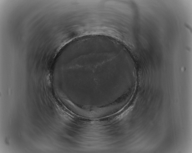 X0000097511497200803071813