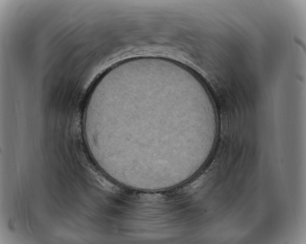 X0000097511498200803071813