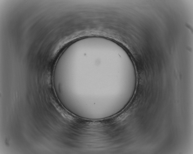 X0000097511499200803071813