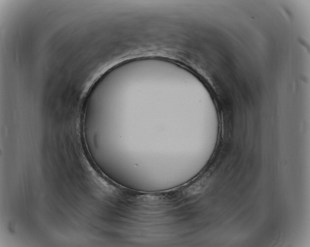 X0000097511500200803071813