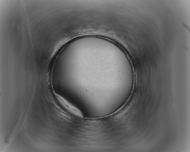 X0000097511501200803071813