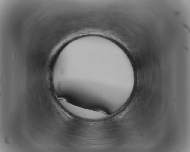 X0000097511502200803071813