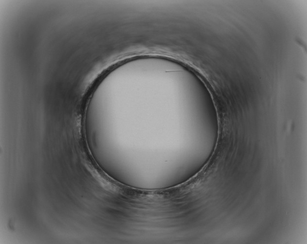 X0000097511503200803071813