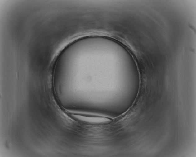 X0000097511504200803071813