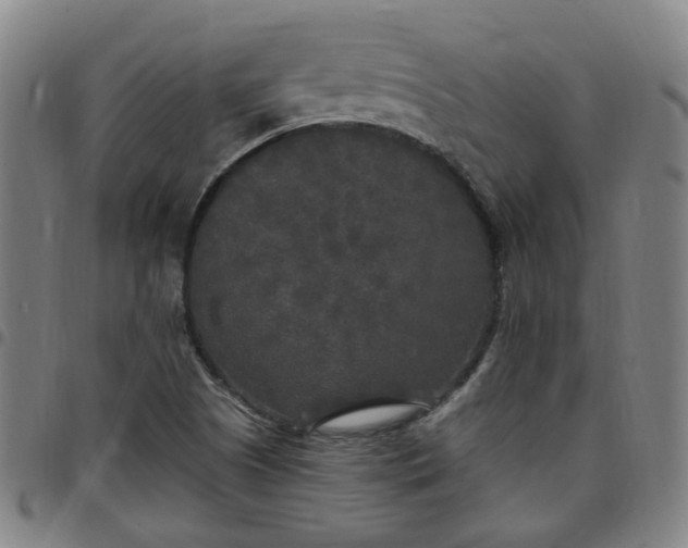 X0000097511505200803071813