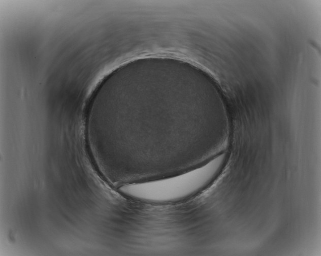 X0000097511506200803071813