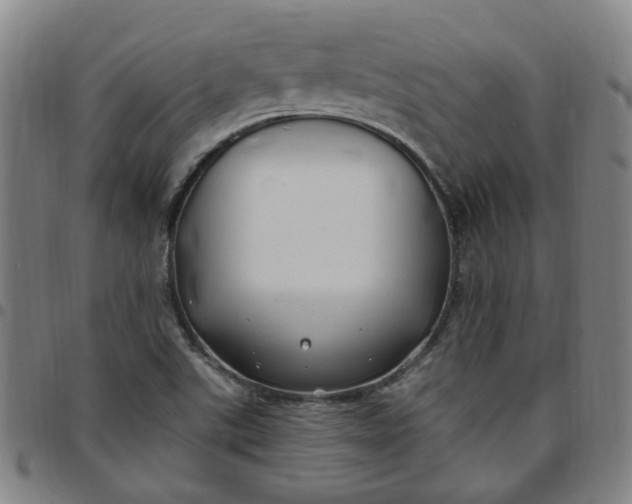 X0000097511507200803071813