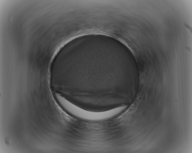 X0000097511508200803071813