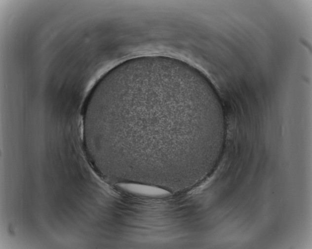 X0000097511509200803071813