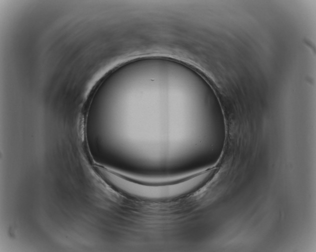 X0000097511510200803071813