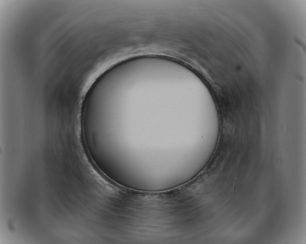 X0000097511512200803071813