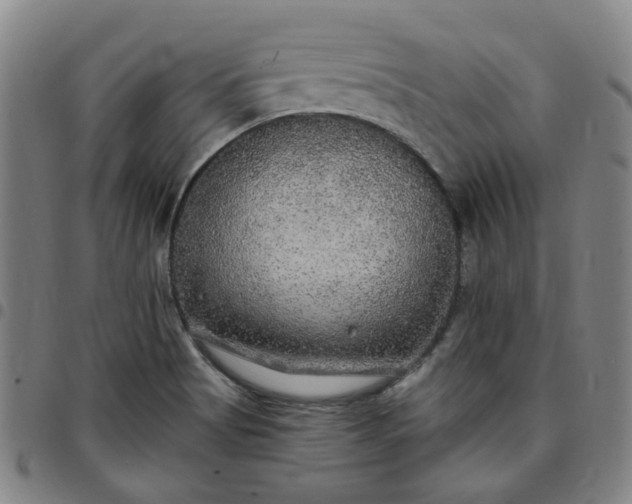 X0000097511513200803071813