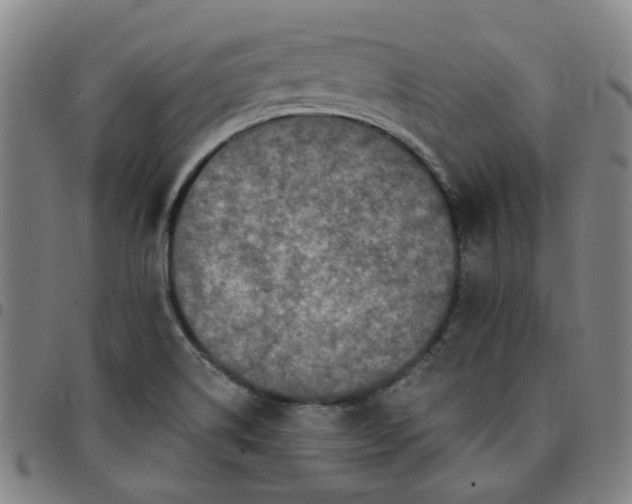 X0000097511514200803071813