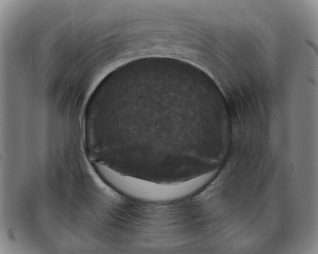 X0000097511515200803071813