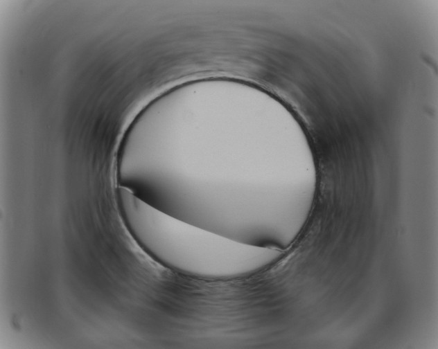 X0000097511516200803071813