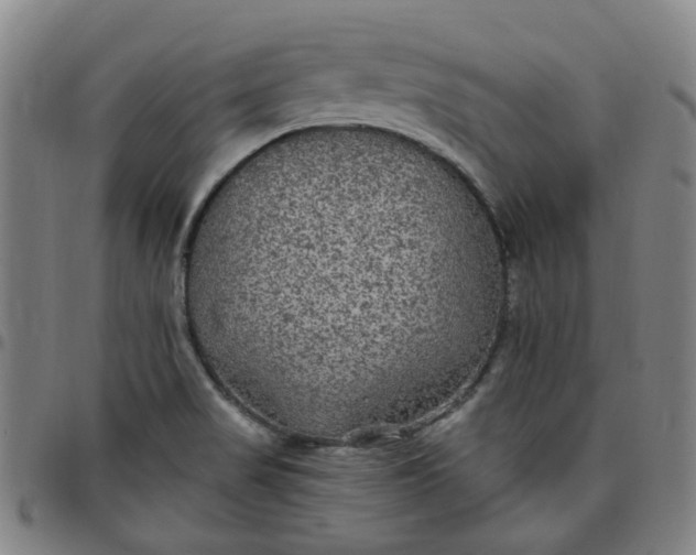 X0000097511517200803071813