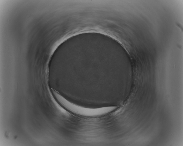 X0000097511519200803071813