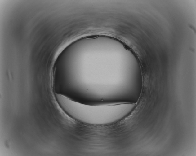 X0000097511520200803071813