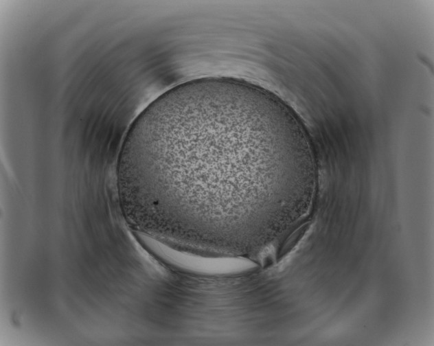 X0000097511521200803071813