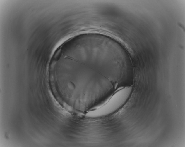 X0000097511522200803071813