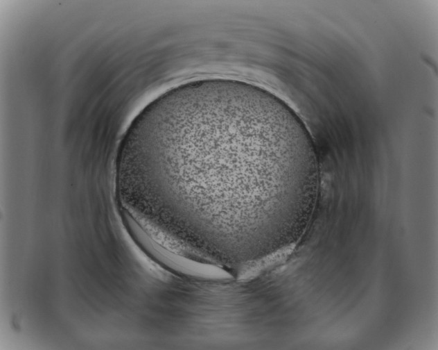 X0000097511523200803071813