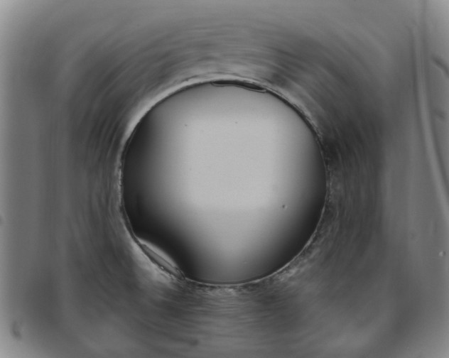 X0000097511524200803071813