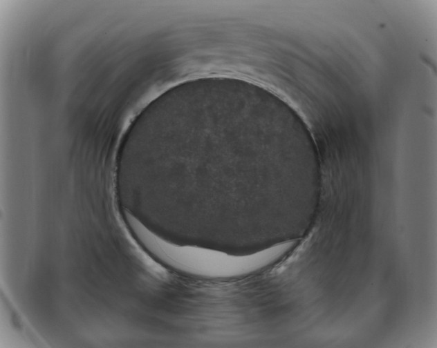 X0000097511525200803071813