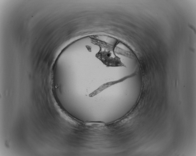 X0000097511526200803071813