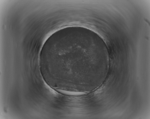 X0000097511527200803071813