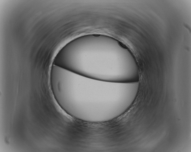 X0000097511528200803071813