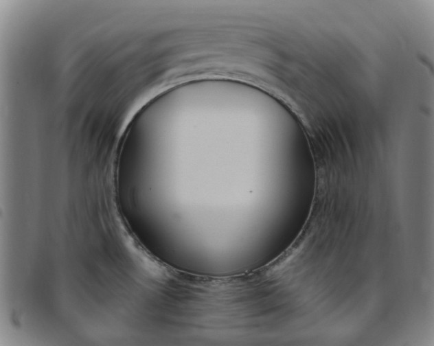 X0000097511530200803071813