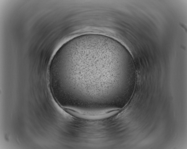 X0000097511531200803071813