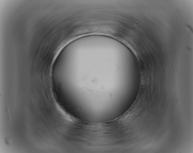 X0000097511532200803071813