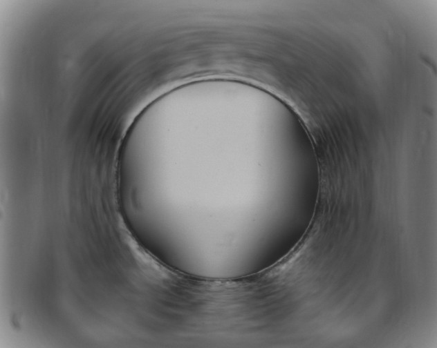 X0000097511534200803071813