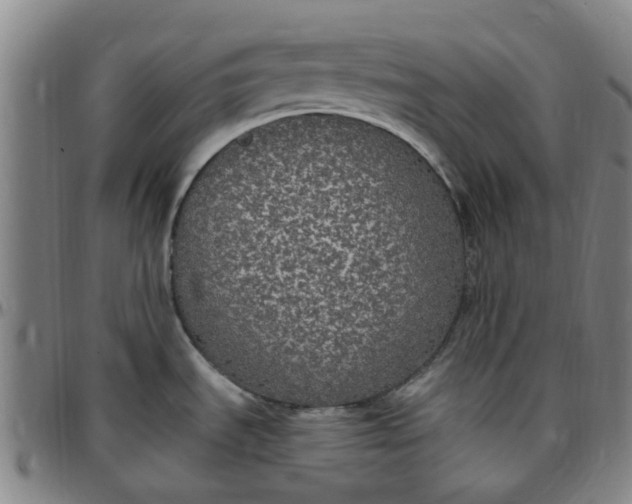 X0000097511535200803071813