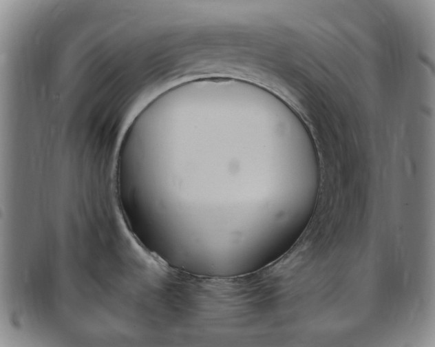 X0000097511536200803071813