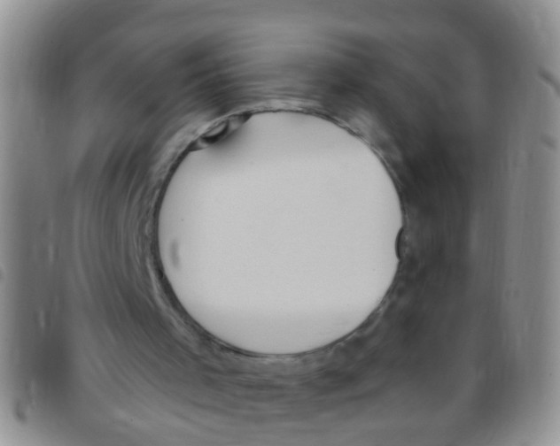 X0000097510001200803142051