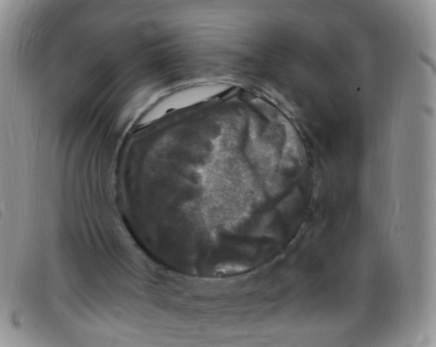 X0000097510002200803142051