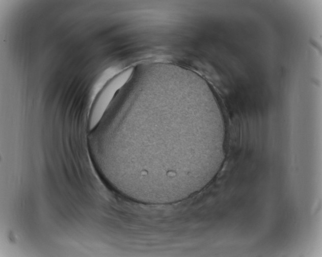 X0000097510003200803142051
