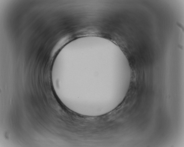 X0000097510004200803142051