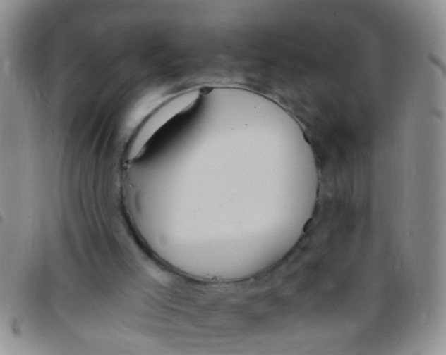 X0000097510005200803142051