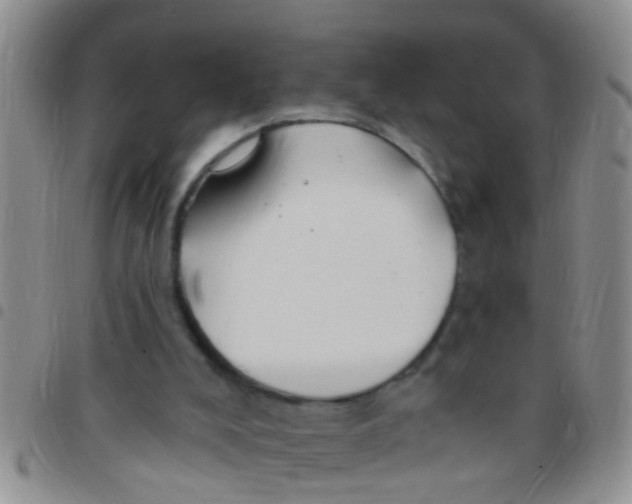 X0000097510008200803142051