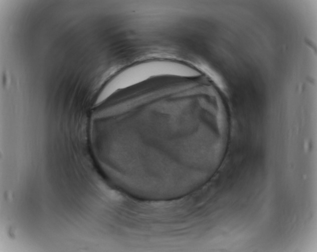 X0000097510009200803142051
