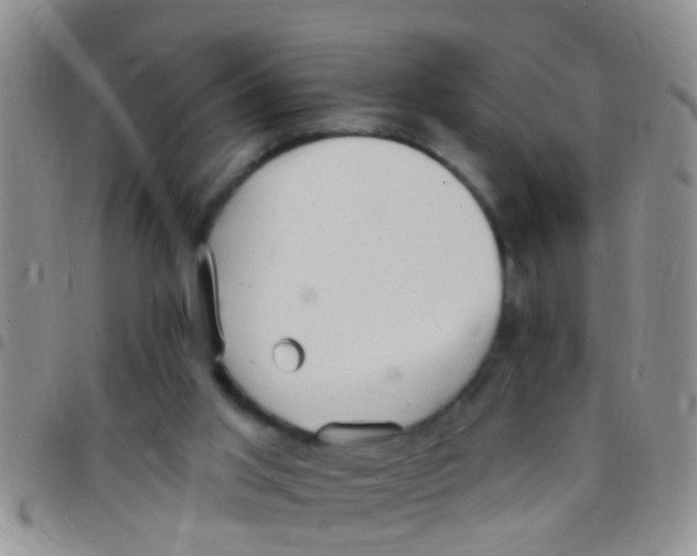 X0000097510013200803142051