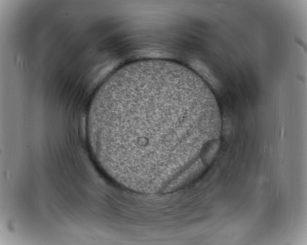 X0000097510014200803142051
