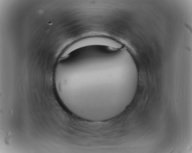 X0000097510015200803142051