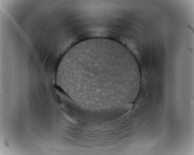 X0000097510017200803142051