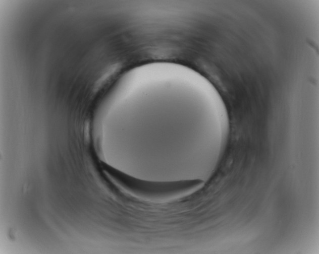 X0000097510019200803142051